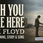 Wish You Were Here Pink Floyd